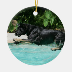 Ornamento De Cerâmica O german shepherd que salta na água