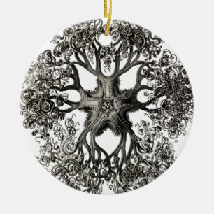 Ornamento De Cerâmica O Gorgonocephalidae de Ernst Haeckel