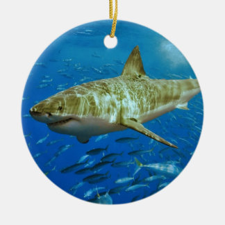 Ornamento De Cerâmica O grande Carcharias do Carcharodon do tubarão