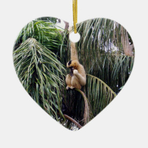 Ornamento De Cerâmica O Macaco Gibbon Está Por Aí,