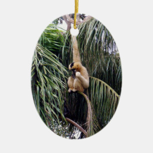 Ornamento De Cerâmica O Macaco Gibbon Está Por Aí,