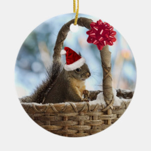 Ornamento De Cerâmica O papai noel Squirrel na neve