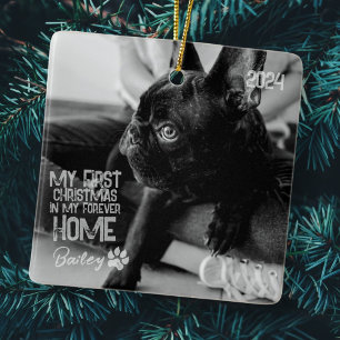 Ornamento De Cerâmica O Primeiro Natal de Pet para o lar Moderno Grunge
