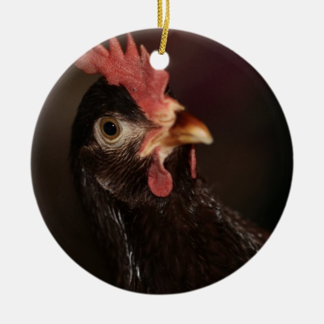 Ornamento De Cerâmica O quê? (Frente)