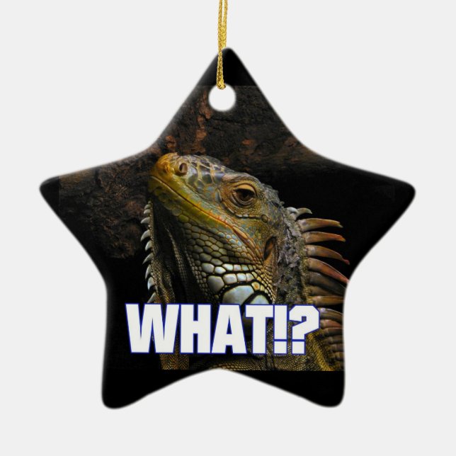Ornamento De Cerâmica O quê? Iguana (Frente)