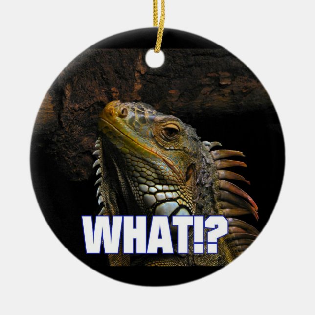 Ornamento De Cerâmica O quê? Iguana (Frente)