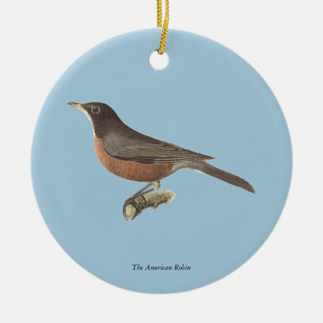 Ornamento De Cerâmica O Robin Americano (Turdus migratorius) NY Birds (Frente)