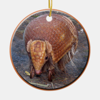 Ornamento De Cerâmica O tatu de Helaine