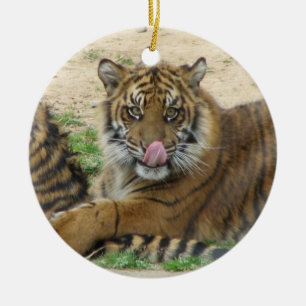 Ornamento De Cerâmica O tigre Cubs Ornament