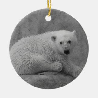 Ornamento De Cerâmica O urso Cub polar Ornament
