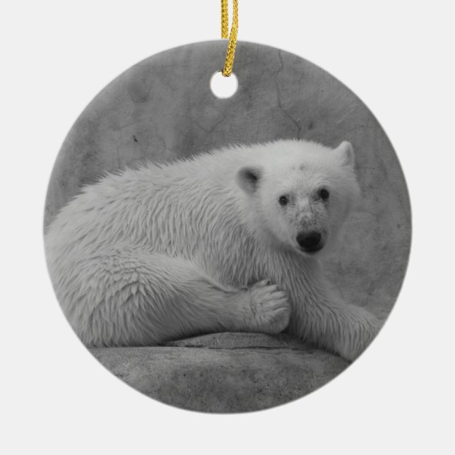 Ornamento De Cerâmica O urso Cub polar Ornament (Frente)