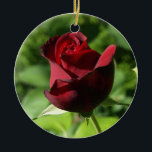 Ornamento De Cerâmica O veludo vermelho elegante aumentou<br><div class="desc">Um rosebud bonito,  vermelho profundo de veludo na cor,  em um jardim do primavera. O tema vermelho e verde forte,  este rosa elegante adiciona um toque da classe a toda a ocasião. Elegância e romance,  a flor de um amante. Uma obrigação definida para amantes da rosa vermelha!</div>