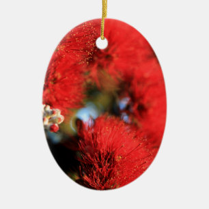 Ornamento De Cerâmica O vermelho floresce a árvore de Pohutukawa