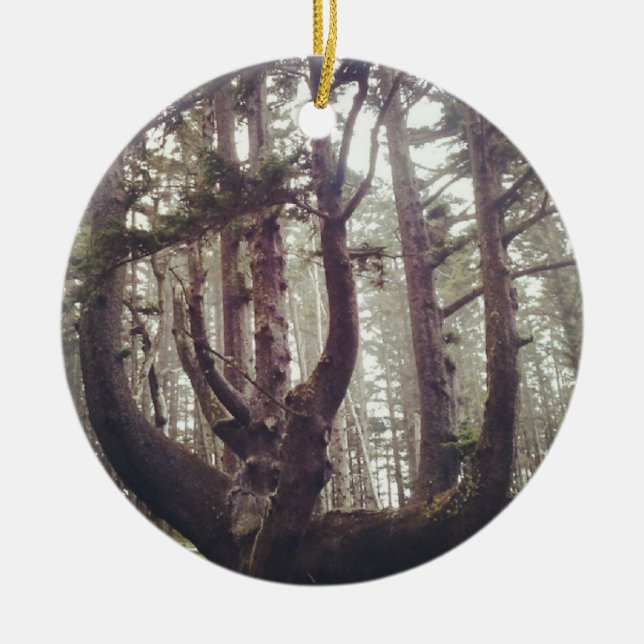 Ornamento De Cerâmica Octopus Tree, Cape Meares, Oregon (Frente)