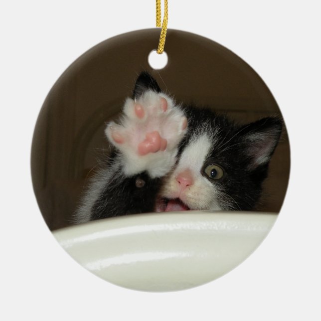 Ornamento De Cerâmica "Oi" Kitten Ornament (Frente)