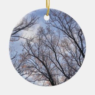 Ornamento De Cerâmica Olhando para as árvores da manhã de inverno