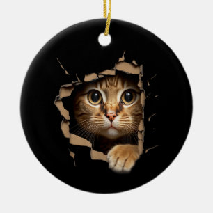 Ornamento De Cerâmica Olhares de gatinho fofo de tecido rasgado Gatos