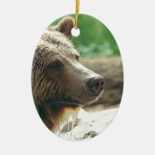 Ornamento De Cerâmica Olhos animais da cara do urso adorável bonito da