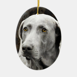 Ornamento De Cerâmica Olhos com alma do Weimaraner