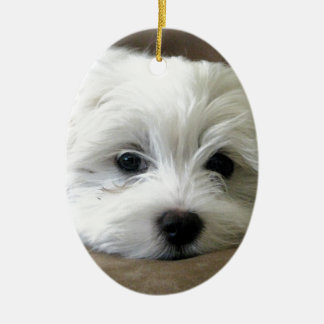 Ornamento De Cerâmica Olhos do filhote de cachorro