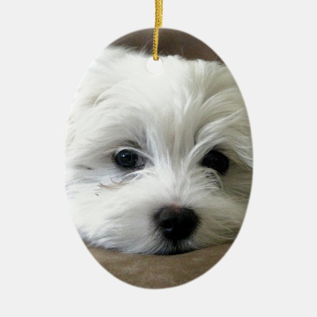 Ornamento De Cerâmica Olhos do filhote de cachorro (Frente)