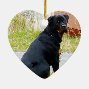 Ornamento De Cerâmica olhos do Filhote de cachorro-cão