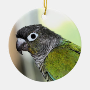 Ornamento De Cerâmica Ollie wallie