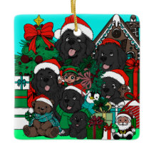 Onde está (Waldo) Newfy? (vermelho)