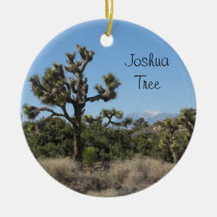 Ornamento De Cerâmica Opinião de árvore de Joshua
