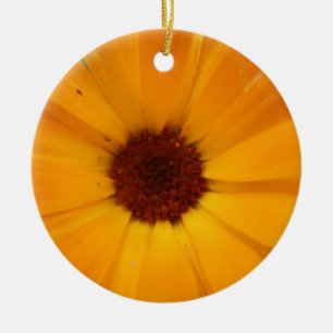Ornamento De Cerâmica Orange Rain Daisy Custom Birthday