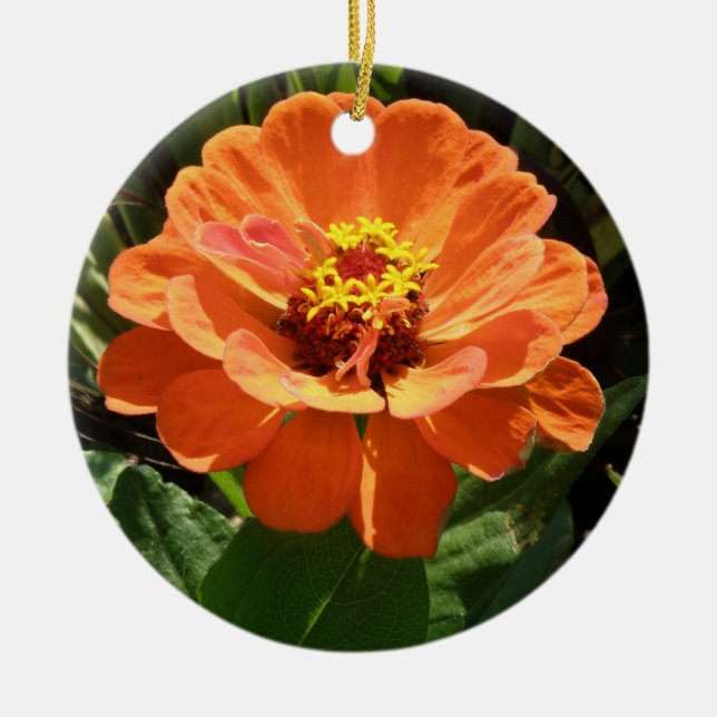 Ornamento De Cerâmica Orange Zinnia Custom Birthday (Frente)