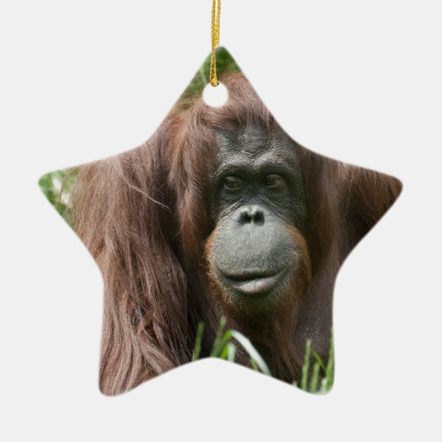 Ornamento De Cerâmica Orangutan (Frente)