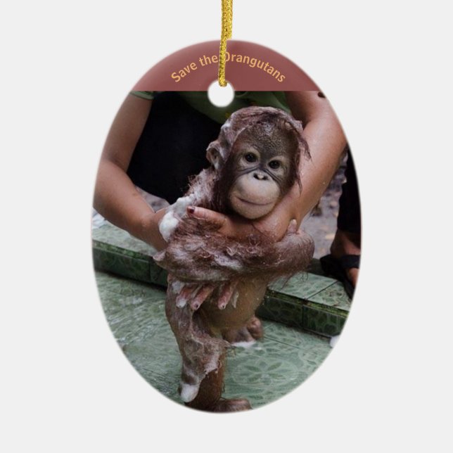 Ornamento De Cerâmica Orangutan Baby (Frente)