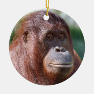 Ornamento De Cerâmica Orangutan Lady