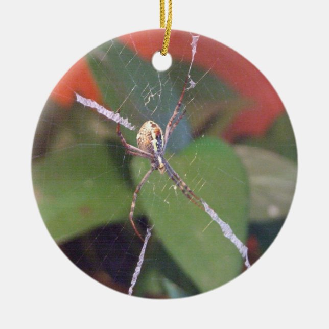 Ornamento De Cerâmica Orb Spider Ornament (Frente)
