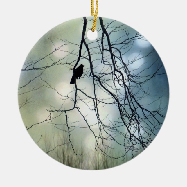 Ornamento De Cerâmica Orbs (Frente)