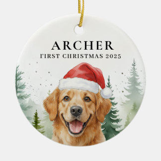 Ornamento De Cerâmica Ornament