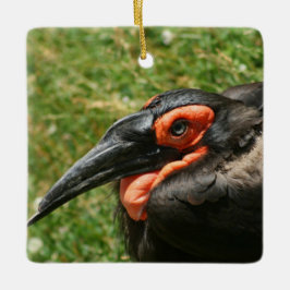 Ornamento De Cerâmica Ornament Africano Ground Hornbill