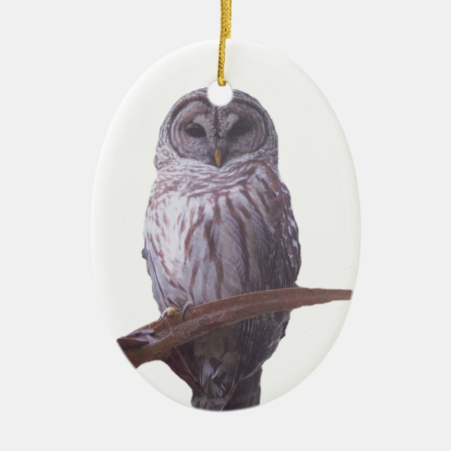 Ornamento De Cerâmica Ornament Barred Owl (Frente)