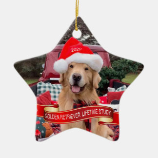 Ornamento De Cerâmica Ornament Cerâmico 2020 Star