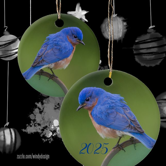 Ornamento De Cerâmica Ornament cerâmico Bluebird 2021 (Criador carregado)