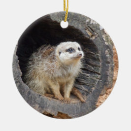 Ornamento De Cerâmica Ornament Meerkat