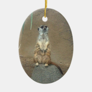 Ornamento De Cerâmica Ornament Meerkat