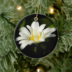 Ornamento De Cerâmica Ornament Oxeye Daisy Round