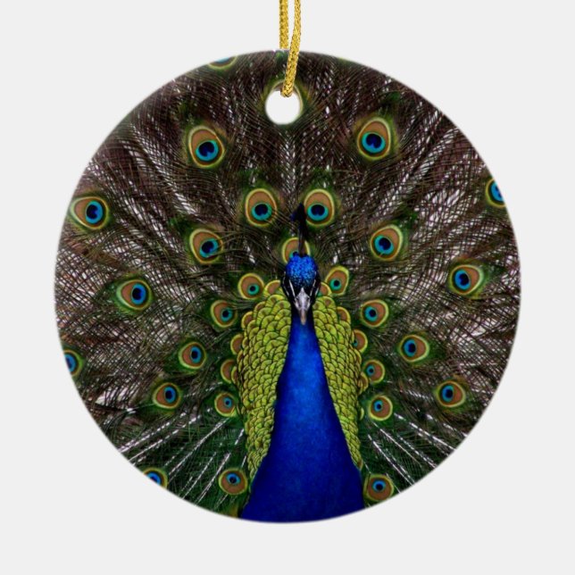 Ornamento De Cerâmica Ornament Peacock (Frente)