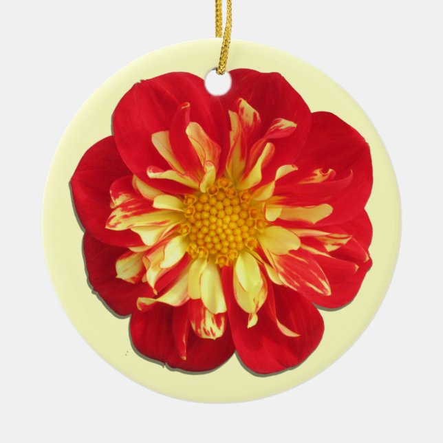 Ornamento De Cerâmica Ornament - StarSister Dahlia (Frente)