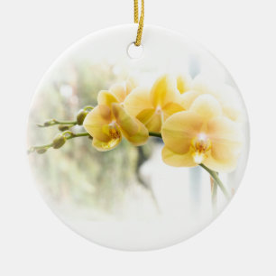 Ornamento De Cerâmica Orquídea Amarela no Sol