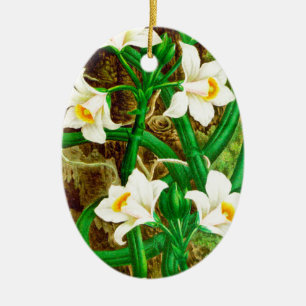 Ornamento De Cerâmica Orquídea de baunilha de Madagascar