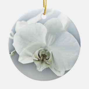 Ornamento De Cerâmica Orquídea de Phaleonopsis Branca