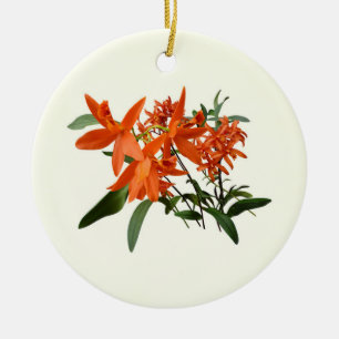 Ornamento De Cerâmica Orquídea Epidendrum Laranja